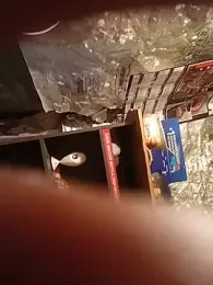 Hotdick2 web kamerası önizlemesi