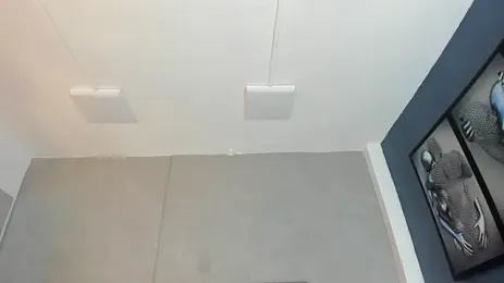 Charlie___Musk yayın görüntüsü