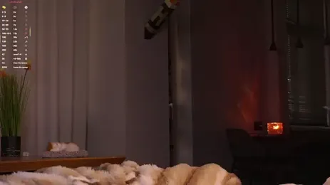 EdlinAlliston yayın görüntüsü