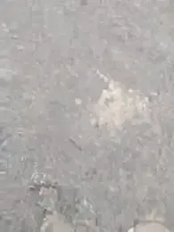 melodyk yayın görüntüsü