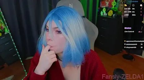 zelda_1 web kamerası önizlemesi